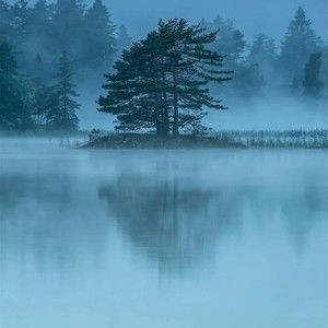 Meet your Posher, Pedro